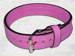 Best Belts